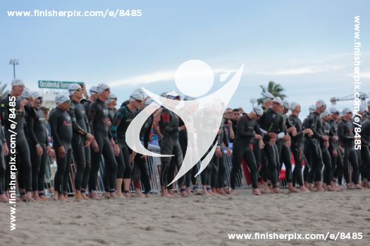 8485_114398 | General